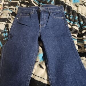 Express Dark Blue Flare Jeans